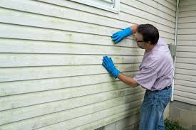 Best Custom Siding Design  in Rancho Cordova, CA